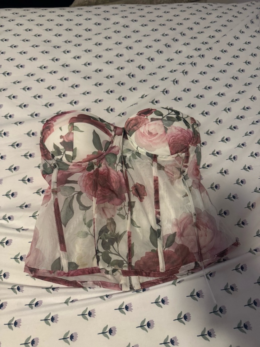 Sheer Floral Bustier Top in Pink Rose Print